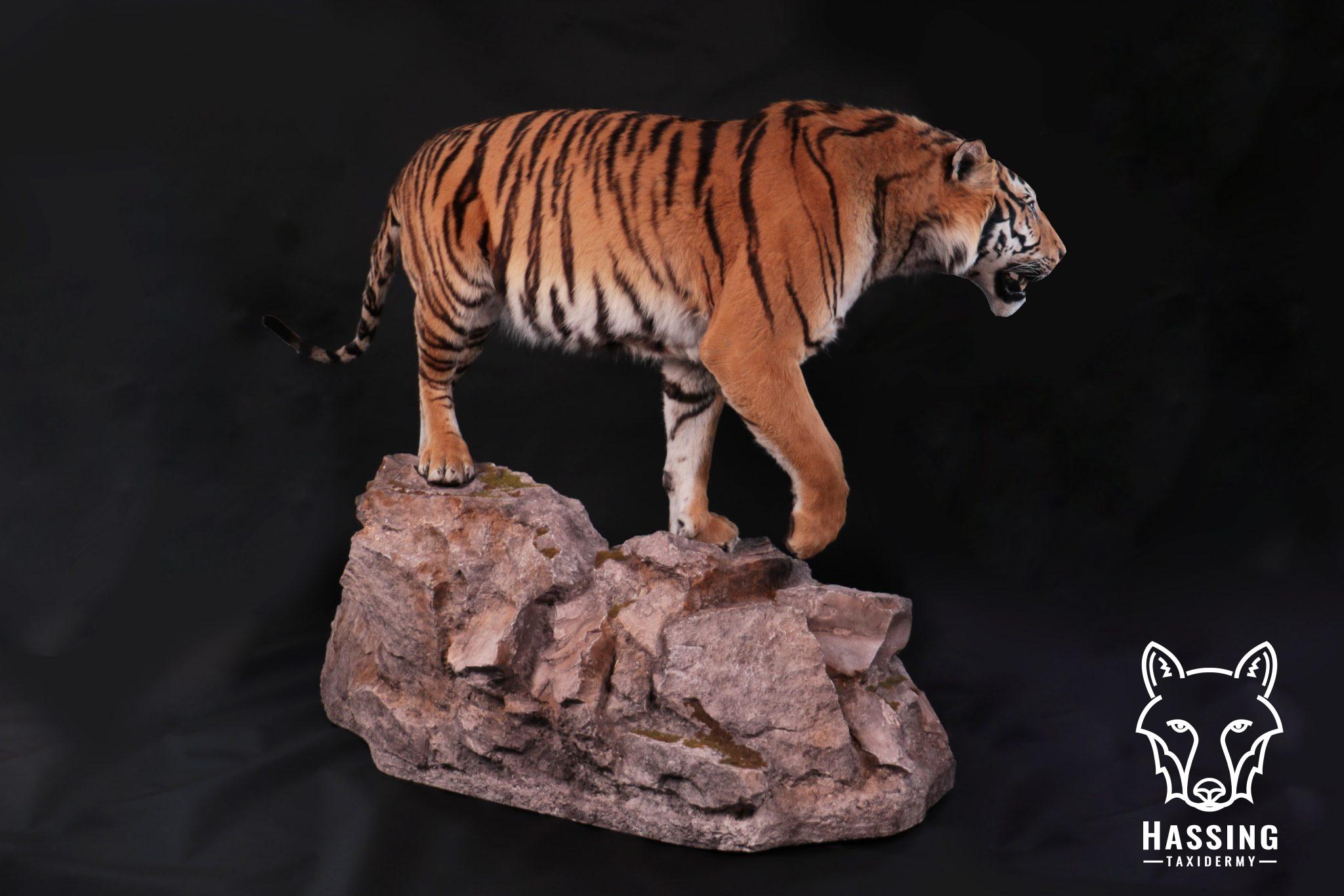 faux taxidermy tiger